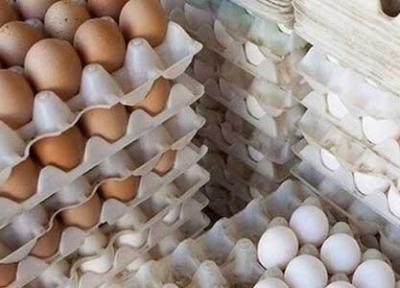 فقط تخم مرغ نگهداری شده در یخچال را خریداری کنید فقط تخم مرغ نگهداری شده در یخچال را خریداری کنید